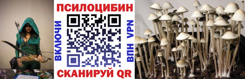 Галлюциногенные грибы мицелий  ссылка на мегу ONION  Кимры 